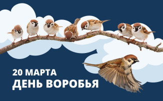 "День воробья" в группе "Антошка" "День воробья" в группе "Антошка".