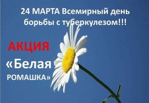 Акция "Белая ромашка- дыши легко!" Акция "Белая ромашка- дыши легко!".