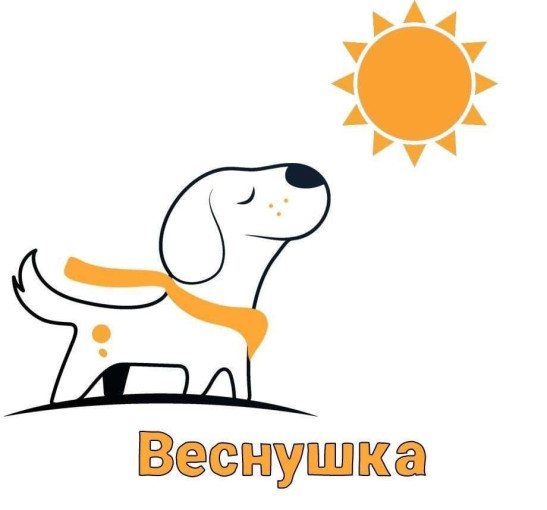 Зоозащитная акция "Веснушка" продолжается... Зоозащитная акция "Веснушка" продолжается.