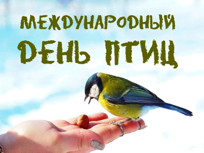 День птиц! День птиц!.